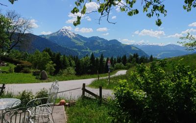 IMG-20190602-WA0002 (1).jpg