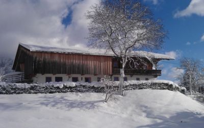 IMAG0059.jpg